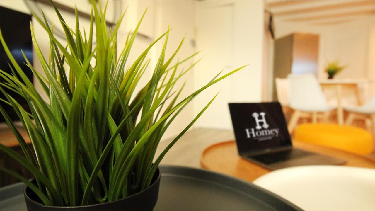 Homey Bella - New / Duplex / Downtown / Close Geneva Annemasse Dış mekan fotoğraf